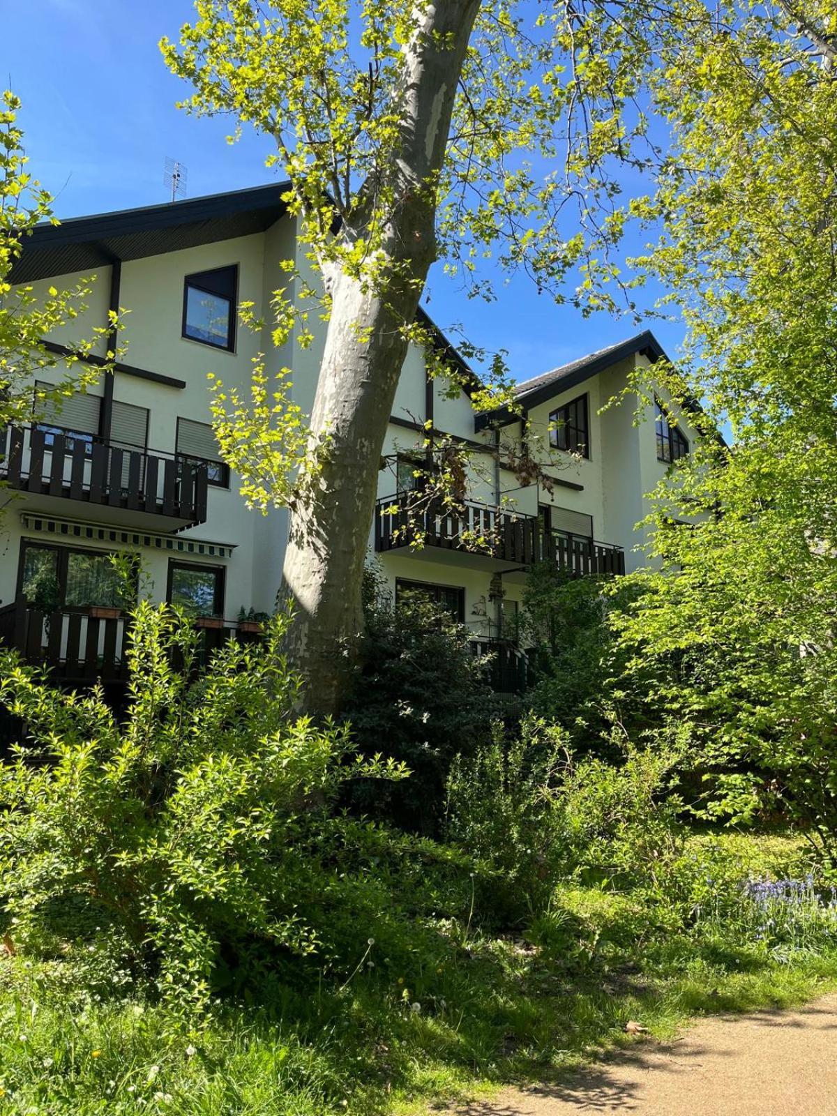 Zentrale Ferienwohnung Am Buhlschen Park In Deidesheim Exterior photo